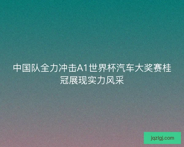 中国队全力冲击A1世界杯汽车大奖赛桂冠展现实力风采